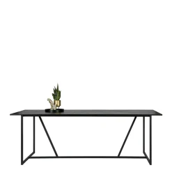 Woood Exclusive Eettafel Silas 220 Cm